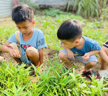 Hoạt Động Trải Nghiệm: Nhặt Rau Nấu Canh 