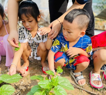 Hoạt Động Trải Nghiệm: Nhặt Rau Nấu Canh 