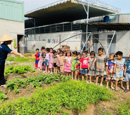 Hoạt Động Trải Nghiệm: Nhặt Rau Nấu Canh 