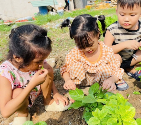 Hoạt Động Trải Nghiệm: Nhặt Rau Nấu Canh 