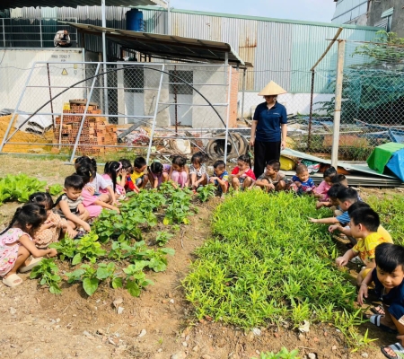 Hoạt Động Trải Nghiệm: Nhặt Rau Nấu Canh 