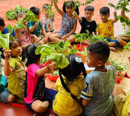 Hoạt Động Trải Nghiệm: Nhặt Rau Nấu Canh 