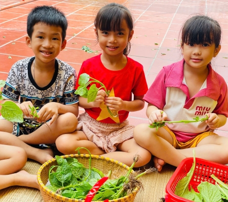 Hoạt Động Trải Nghiệm: Nhặt Rau Nấu Canh 