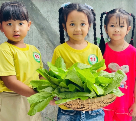 Hoạt Động Trải Nghiệm: Nhặt Rau Nấu Canh 