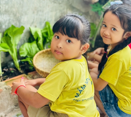 Hoạt Động Trải Nghiệm: Nhặt Rau Nấu Canh 