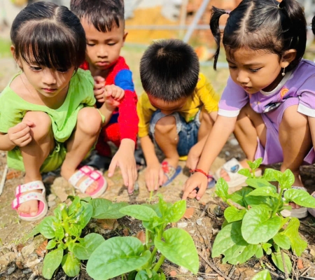 Hoạt Động Trải Nghiệm: Nhặt Rau Nấu Canh 