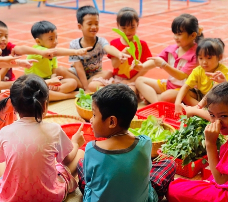 Hoạt Động Trải Nghiệm: Nhặt Rau Nấu Canh 