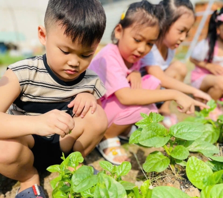 Hoạt Động Trải Nghiệm: Nhặt Rau Nấu Canh 