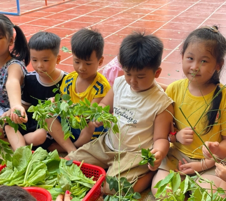 Hoạt Động Trải Nghiệm: Nhặt Rau Nấu Canh 