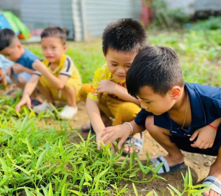 Hoạt Động Trải Nghiệm: Nhặt Rau Nấu Canh 