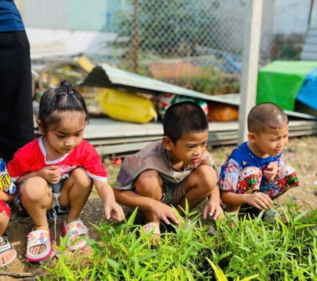 Hoạt Động Trải Nghiệm: Nhặt Rau Nấu Canh 