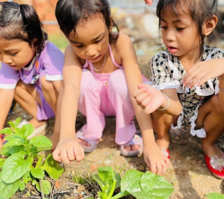 Hoạt Động Trải Nghiệm: Nhặt Rau Nấu Canh 