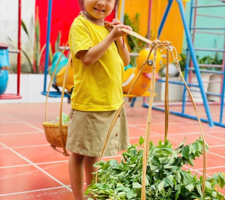 Hoạt Động Trải Nghiệm: Nhặt Rau Nấu Canh 