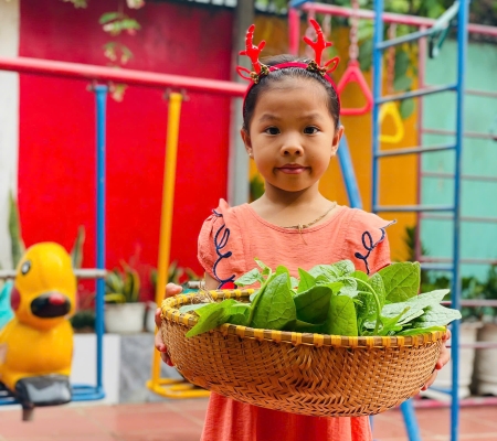 Hoạt Động Trải Nghiệm: Nhặt Rau Nấu Canh 