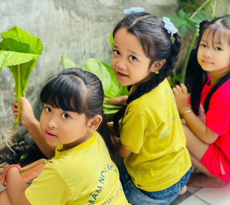 Hoạt Động Trải Nghiệm: Nhặt Rau Nấu Canh 