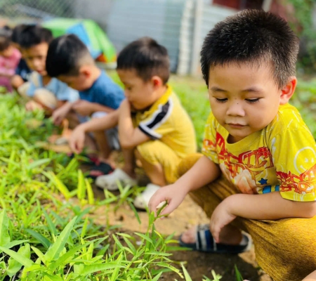 Hoạt Động Trải Nghiệm: Nhặt Rau Nấu Canh 