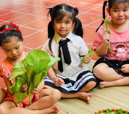 Hoạt Động Trải Nghiệm: Nhặt Rau Nấu Canh 