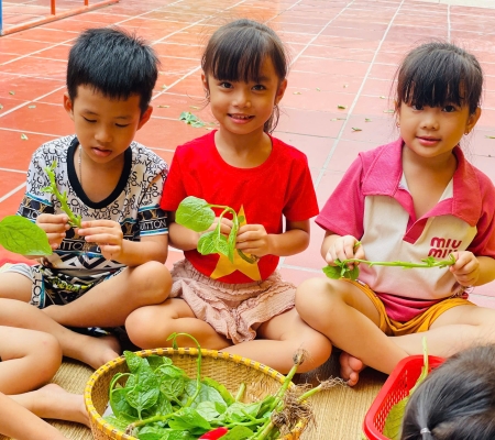 Hoạt Động Trải Nghiệm: Nhặt Rau Nấu Canh 