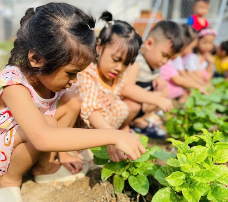 Hoạt Động Trải Nghiệm: Nhặt Rau Nấu Canh 